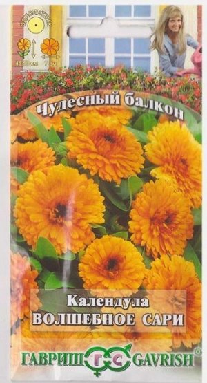 Календула Волшебное Сари (Код: 15618)