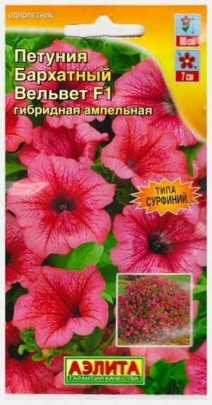 Петуния Бархатный вельвет F1 (Код: 14753)