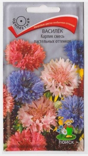 Василек Карлик Смесь пастельных оттенков (Код: 65535)