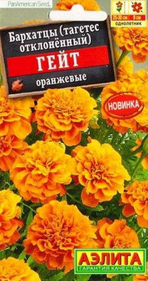 Бархатцы Гейт оранжевые (Код: 86772)