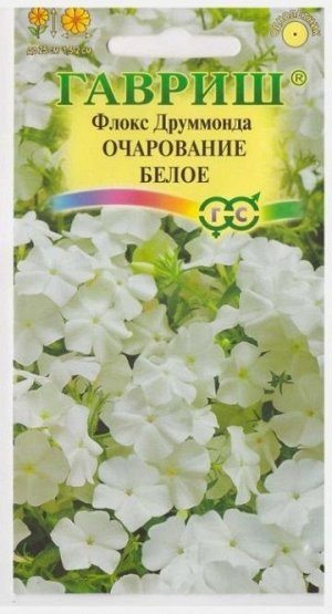 Флокс Очарование белое (Код: 69159)