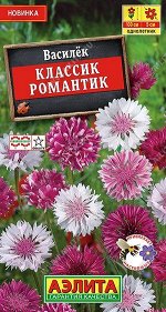 Василек Классик Романтик (Код: 89509)
