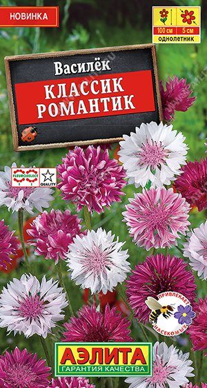 Василек Классик Романтик (Код: 89509)