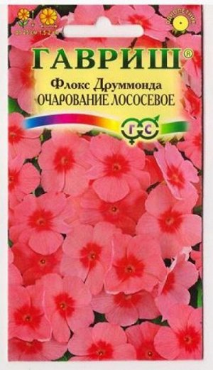 Флокс Очарование лососевое (Код: 80000)