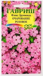 Флокс Очарование розовое (Код: 81507)