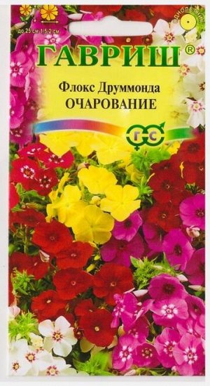 Флокс Очарование смесь (Код: 69158)