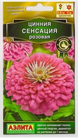 Цинния Сенсация Розовая (Код: 73726)