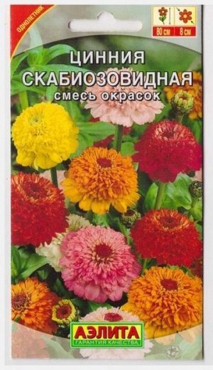 Цинния Скабиозовидная смесь (Код: 15768)