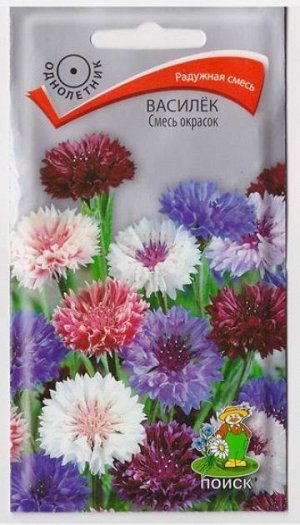 Василек смесь окрасок (Код: 65928)
