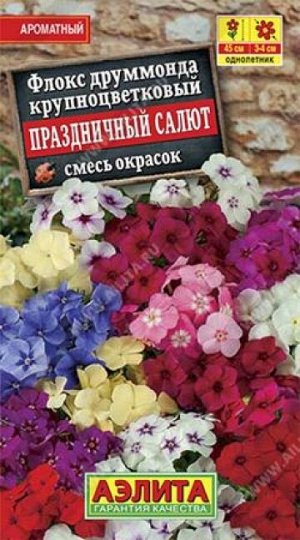 Флокс Праздничный Салют (Код: 86144)