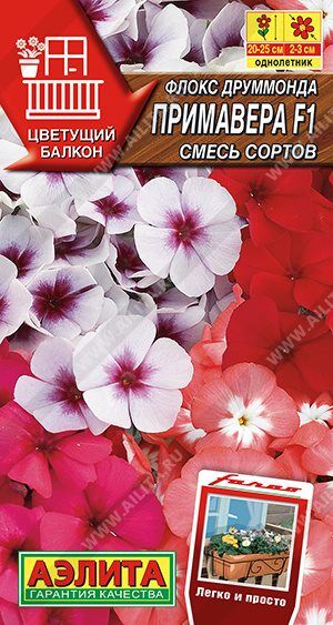 Флокс Примавера F1, смесь (Код: 89561)