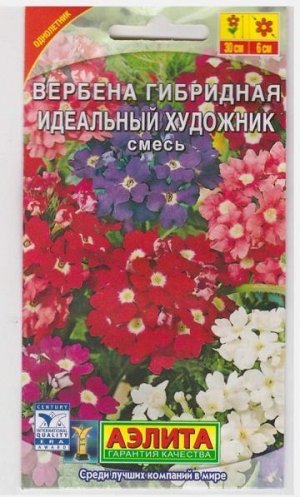 Вербена гибридная Идеальный художник (Код: 5161)