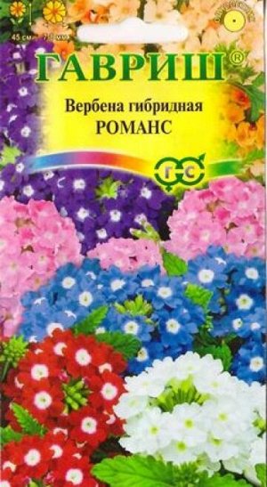 Вербена гибридная Романс (Код: 7649)