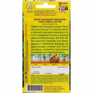 Агрофирма АЭЛИТА Семена цветов Кобея &quot;Гжельские узоры&quot;, 0,45 г