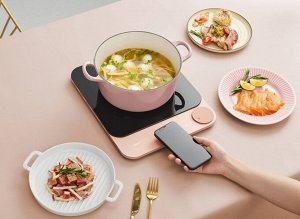 Индукционная плита Xiaomi Tokit