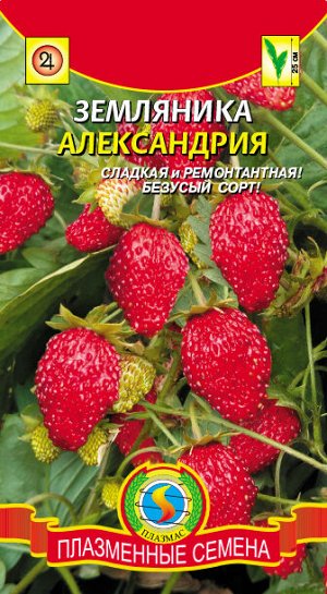 Земляника Александрия 0,05г Плазма