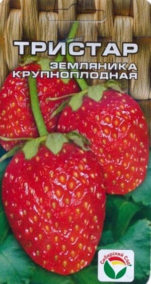 Клубника Тристар (10шт) Сибирский сад