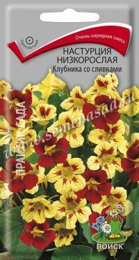 Цветы Настурция низкорослая Клубника со сливками 1г Поиск