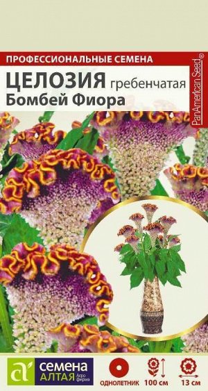 Целозия Бомбей Фиора гребенчатая/Сем Алт/цп 3 шт. НОВИНКА