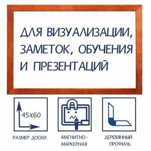 Доска магнитно-маркерная 45х60 см, Calligrata, в деревянной рамке (морилка темная)