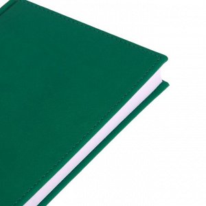 Ежедневник недатированный А5, 160 листов "Вивелла", обложка искусственная кожа, светло-зелёный