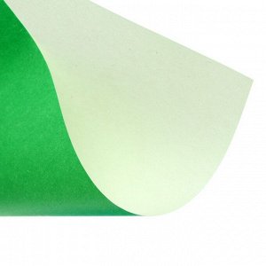 Бумага цветная А5, 10 листов, 10 цветов "Зверята", офсет плотность 60г/м2, в папке