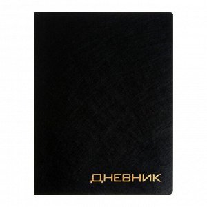 Дневник премиум класса 1-11кл Балакрон VIGO VT0301, паутинка, чёрный
