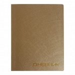 Премиум-дневник универсальный, для 1-11 класса VIGO &quot;Балакрон&quot;, паутинка, золотой