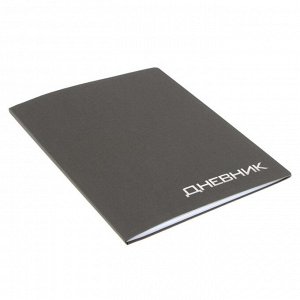 Премиум-дневник универсальный, для 1-11 класса VIGO "Балакрон", ламинация Soft-Touch, серебро