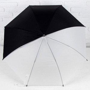 Зонт - трость полуавтоматический «Ассорти», 8 спиц, R = 49,5 см, цвет МИКС