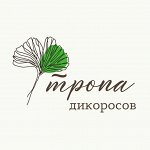 Саженцы Уссурийской тайги. Деревья и многолетники. Дозаказ