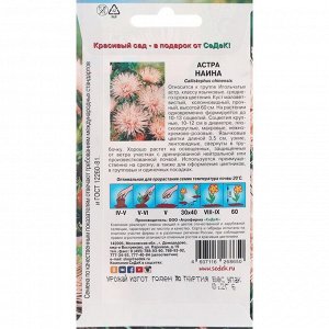 Семена цветов Астра "Седек" "Наина" китайская, игольчатая, нежно-кремово-розовая, однолетник, 0,2 г