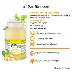 ISB Fruit of the Groomer Ginger&Elderbery Восстанавливающая маска с противовоспалительным эффектом 3 л