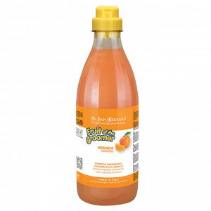 ISB Fruit of the Groomer Orange Шампунь для слабой выпадающей шерсти 1 л