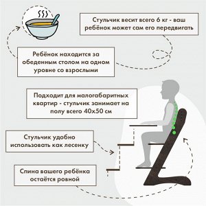 Растущий стул для детей «Компаньон»