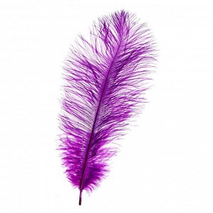 Перо для декора, размер: 25-30 см, цвет фиолетовый