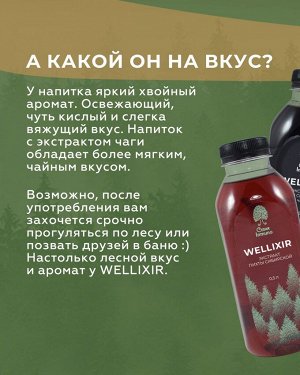 Экстракт пихты сибирской с чагой, Wellixir, 500 мл