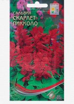 Семена цветов Сальвия &quot;Скарлет Пикколо&quot; Дом семян, О, 25 шт