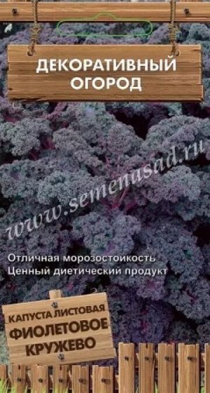 Капуста листовая Фиолетовое кружево (Код: 88125)