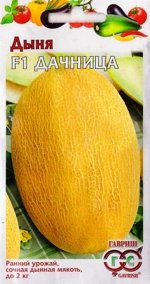 Дыня Дачница (Код: 86827)