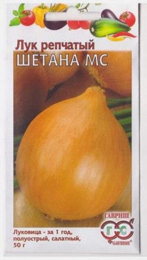 Лук репчатый Шетана (Код: 5295)