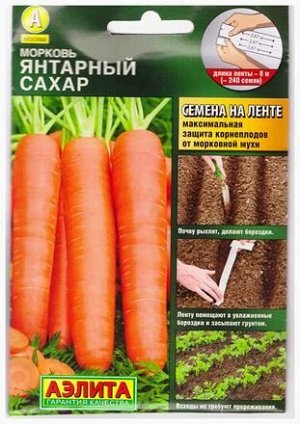 Морковь Янтарный сахар (Код: 5563)