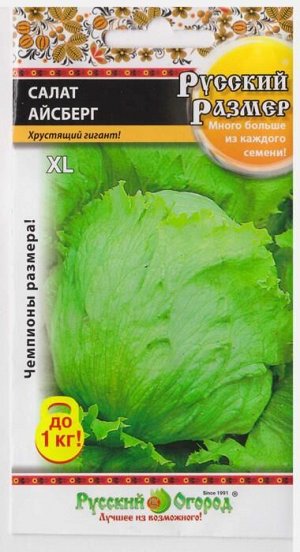 Салат Айсберг Русский размер кочанный (Код: 4058)