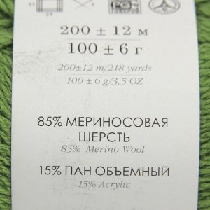 Пряжа "Пехорская шапка" 85% меринос.шерсть, 15% акрил 200м/100гр (434 зелёный)