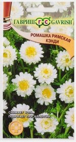 Ромашка римская Кэнди (Код: 13232)