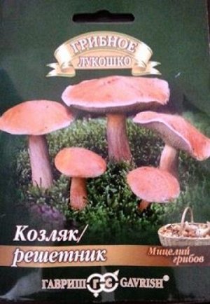 Грибы Козляк Решетник (Код: 82746)