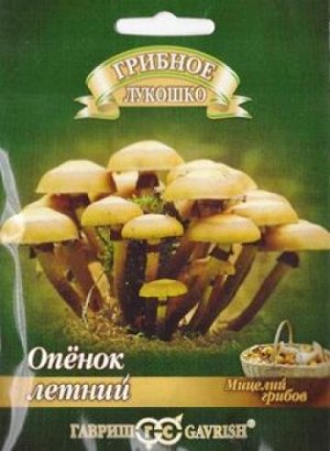 Грибы Опенок Летний (Код: 82186)
