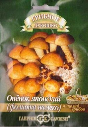 Грибы Опенок японский Фолиото намеко (Код: 82187)