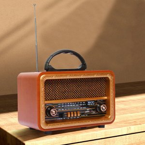 Портативный радиоприемник NNS Radio Wireless TWS