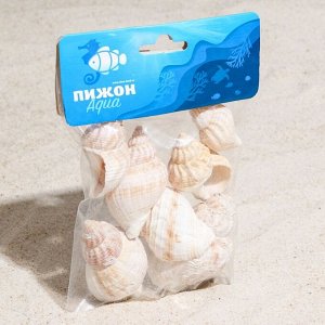 Набор ракушек Horse conch, 100 г